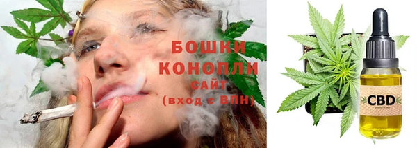мдпв Горнозаводск