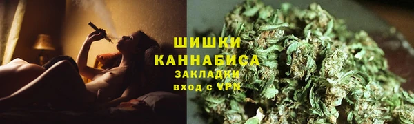 гидра Горняк