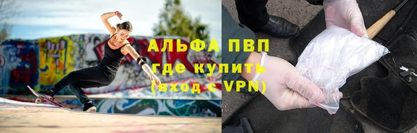ГАЛЛЮЦИНОГЕННЫЕ ГРИБЫ Горно-Алтайск