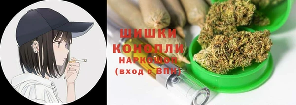 гидра Горняк