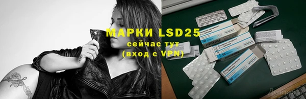 ГАЛЛЮЦИНОГЕННЫЕ ГРИБЫ Горно-Алтайск