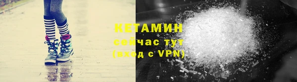 гидра Горняк
