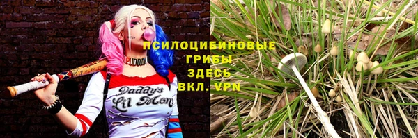 гидра Горняк
