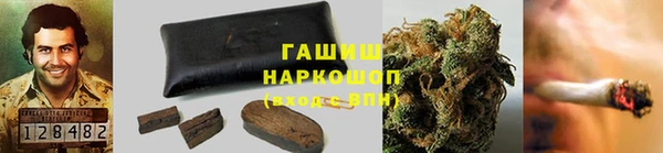 мдпв Горнозаводск