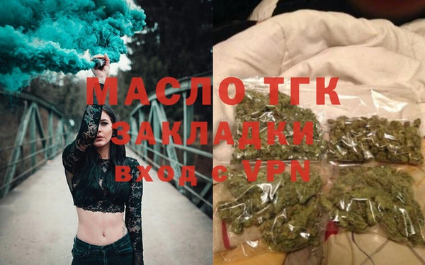 гидра Горняк