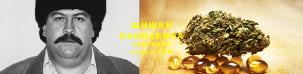 гидра Горняк