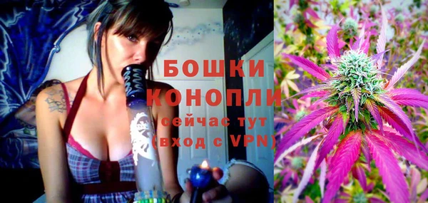 мдпв Горнозаводск