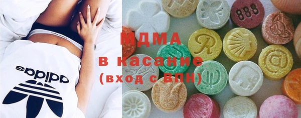 гидра Горняк