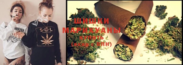 гидра Горняк