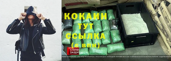 ГАЛЛЮЦИНОГЕННЫЕ ГРИБЫ Горно-Алтайск
