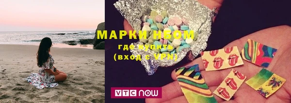 гидра Горняк