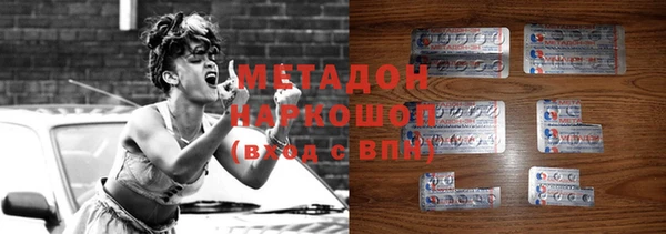 гидра Горняк