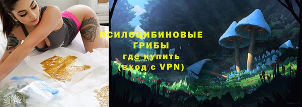 гидра Горняк