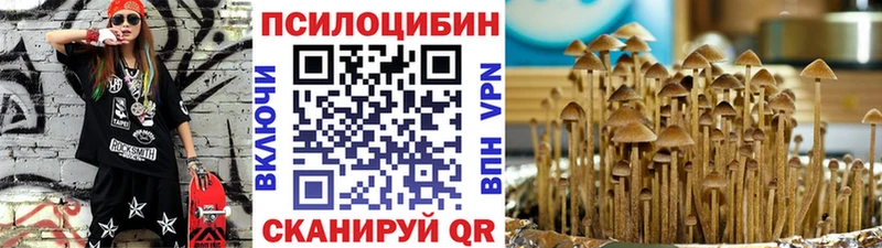 Псилоцибиновые грибы GOLDEN TEACHER  MEGA как зайти  Ильский 